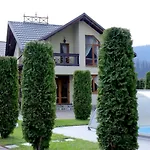 Деревянный коттедж Vip House Микуличин