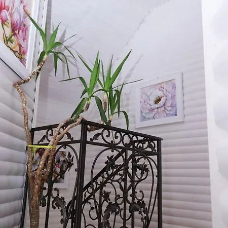 Vip House