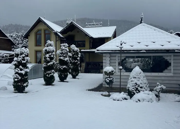 Vip House ميكوليتشن